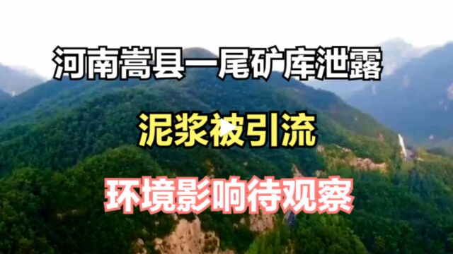 河南嵩县一尾矿库泄露:泥浆被引流,环境影响待观察