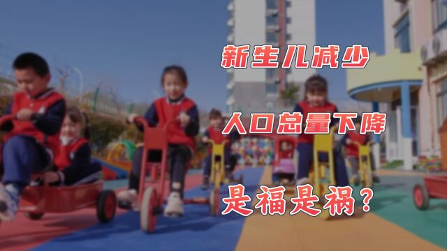 幼儿园倒闭,多行业面临冲击,人口减少就没有好处吗?