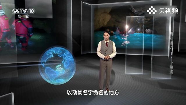 通过分析探险爱好者的视频,石台县的巨鼠洞,吸引了拍摄组的兴趣