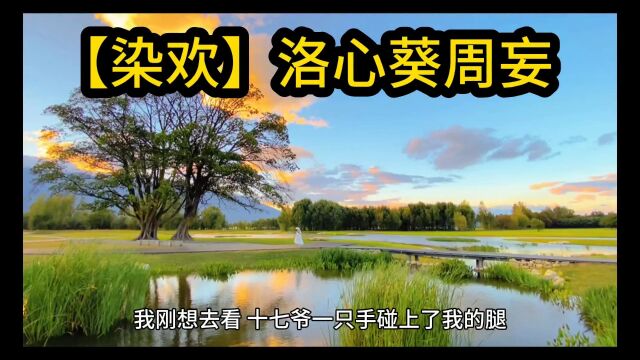 染欢洛心葵周妄(染欢小说)完整版——无删减