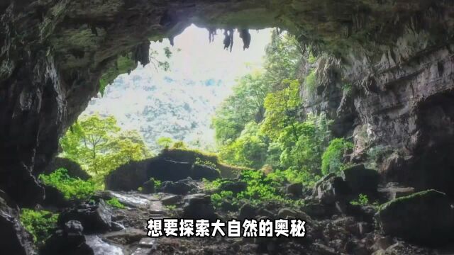 武夷山国家森林公园游玩攻略