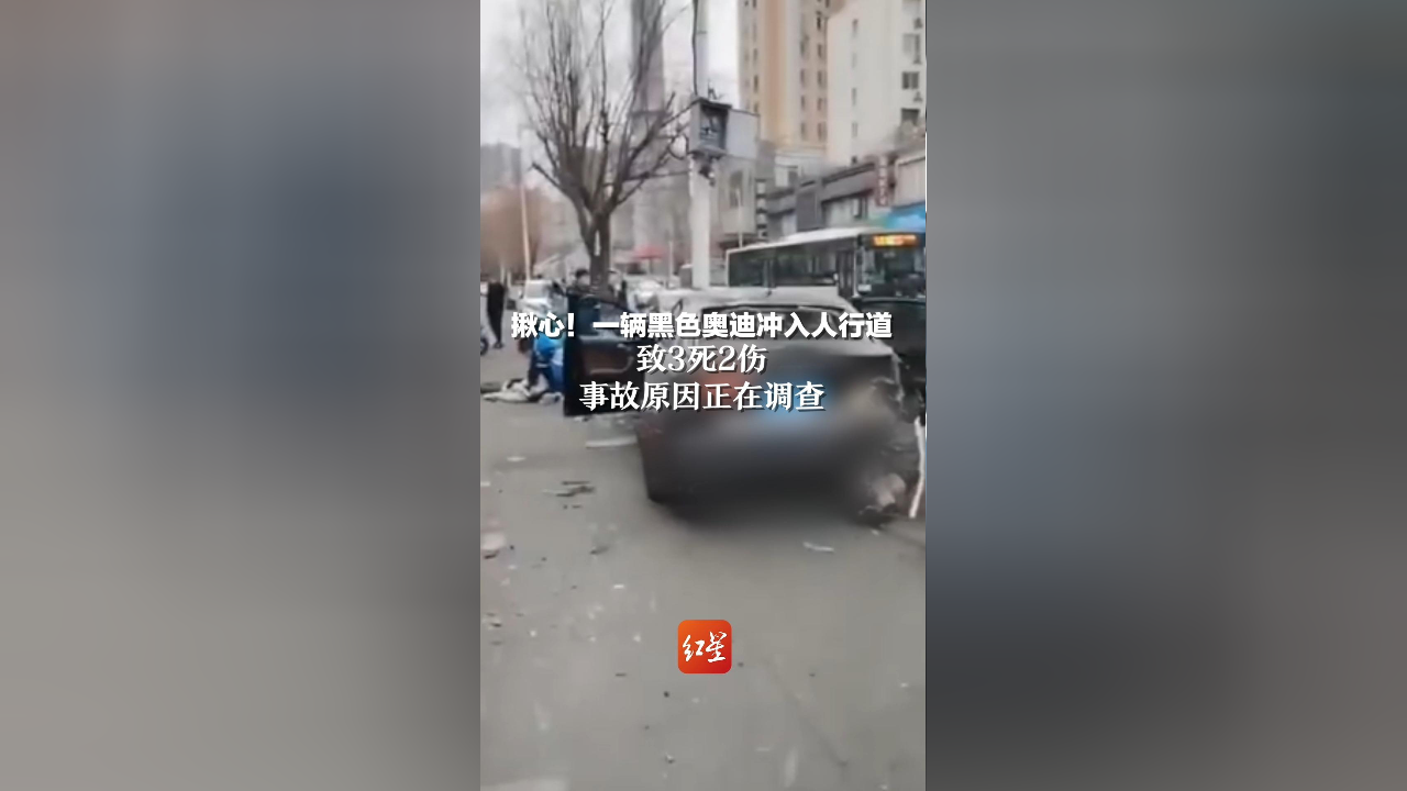 沈阳无轨电车事件图片