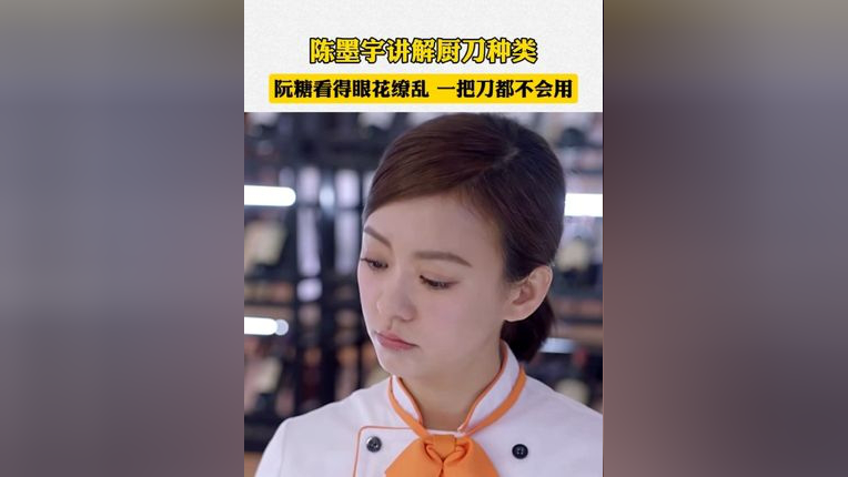 陈墨宇专业讲解厨刀种类,阮糖看得眼花缭乱,却一把刀都不会用,她能