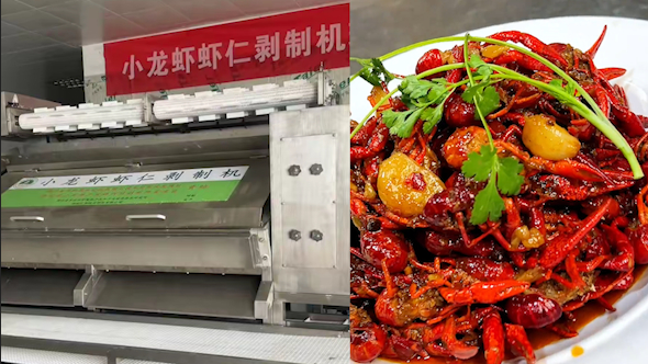 湖北一研发团队成功研发剥虾机:一小时能剥200斤虾仁,相当于50倍人力