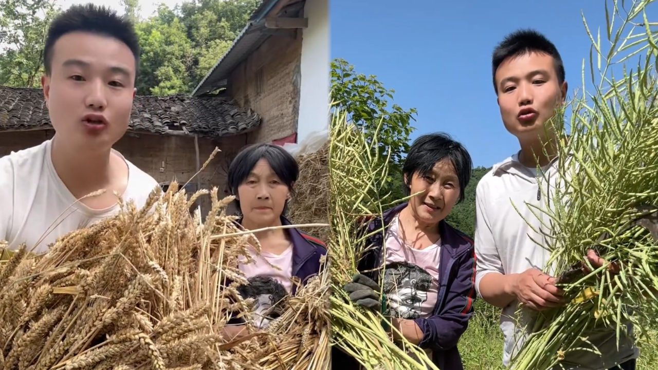 网红农人小张车祸去世,妈妈哭到无法控制,父母两次人