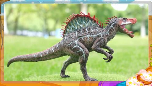 带大家认识一下棘背龙