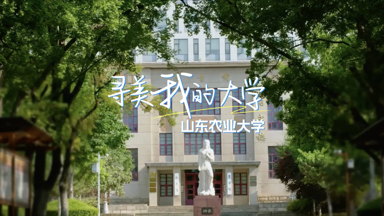 山东农业大学校歌图片