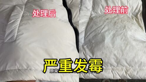 锦纶黑白拼接羽绒服发霉,洗这种衣服好麻烦.干洗店碰到都不爱收