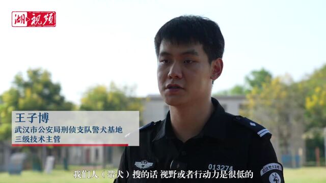 武汉警方用无人机给警犬做向导