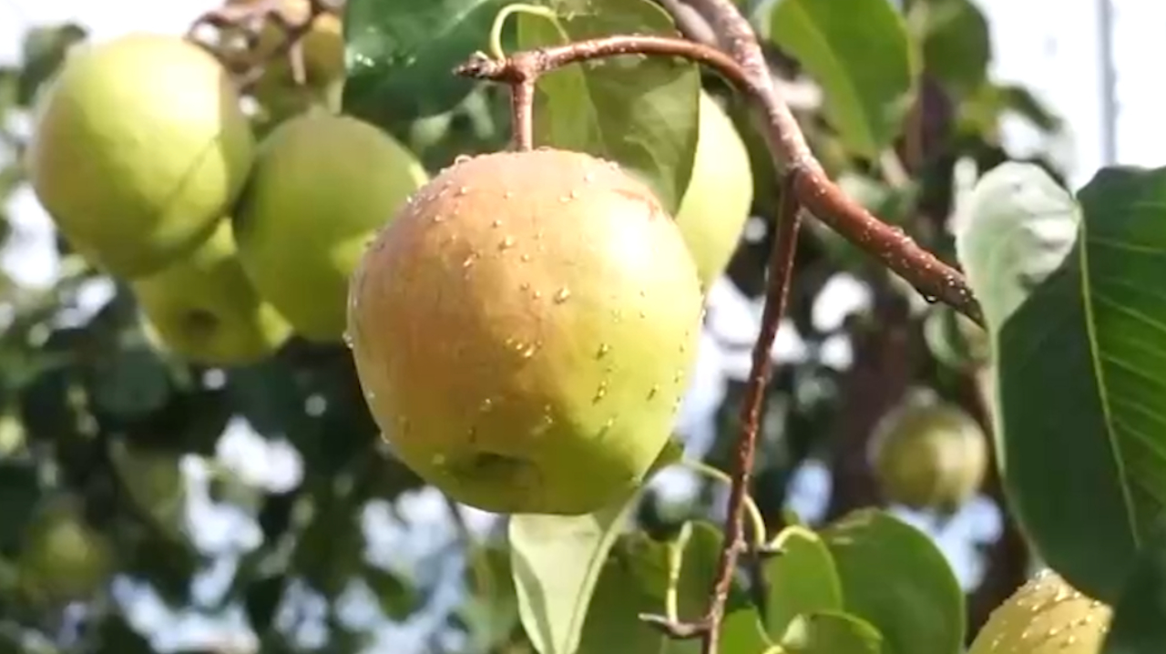 隰县怡泽丰大酒店图片