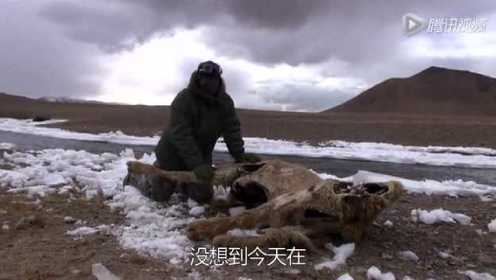《无人之境》第七集：寻找西藏神兽被困荒野 因祸得福巧遇宝贝干尸