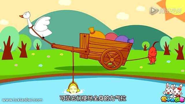 天鵝蝦和梭子魚