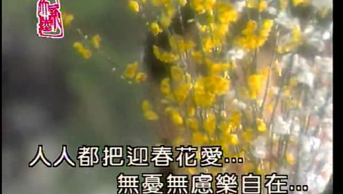 迎春花 (KTV版)