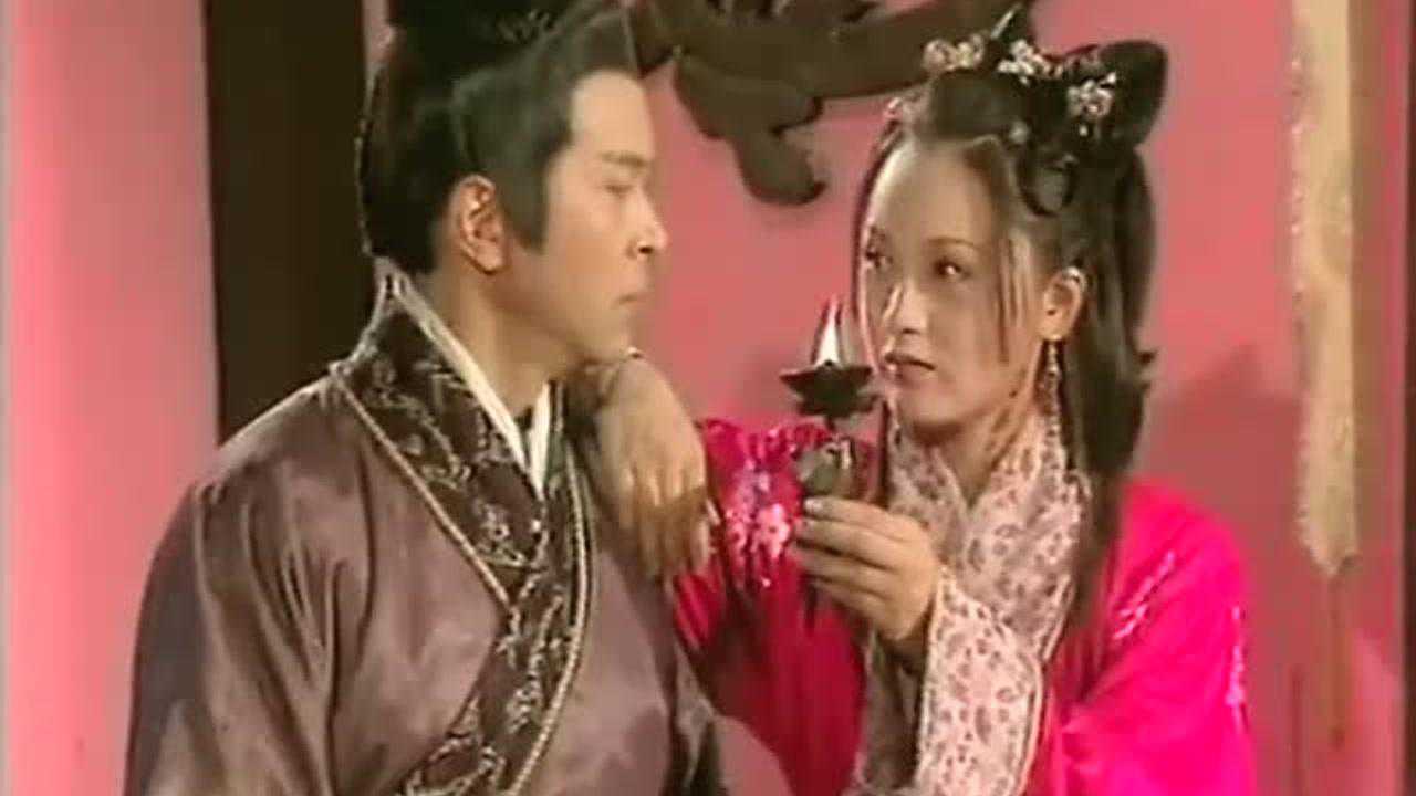 赵氏孤儿 23集