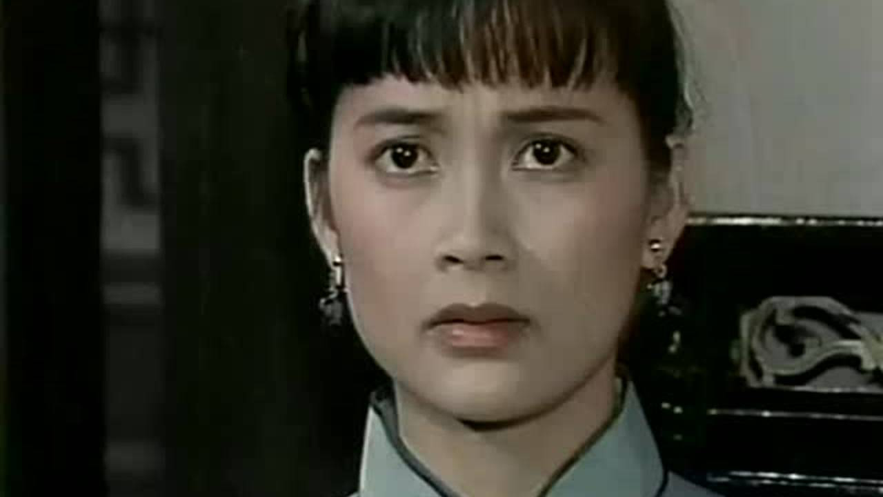 家春秋 19集