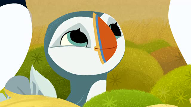 请点击重试点击重试广告欢乐海鹦岛第二季 观赏瓢虫2022年9月24日发布