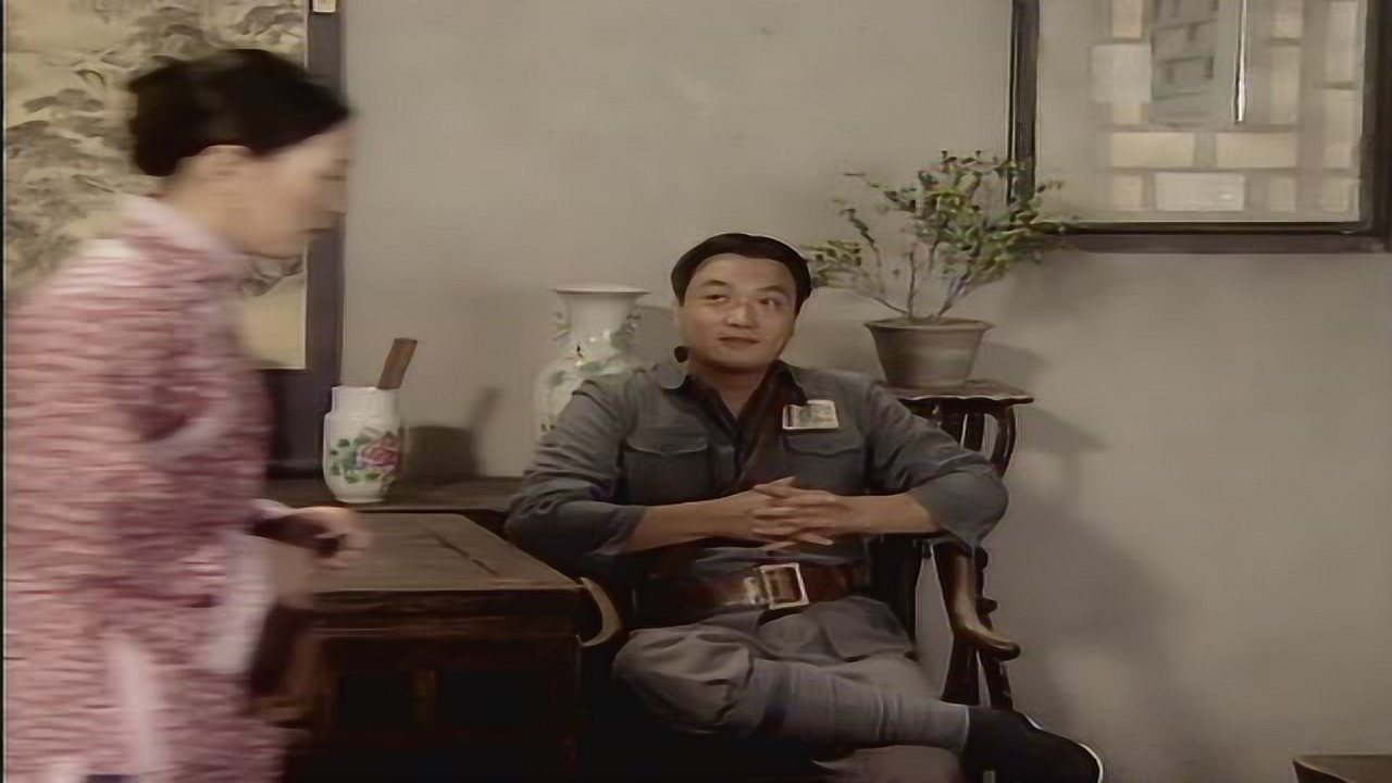 假行家 46集