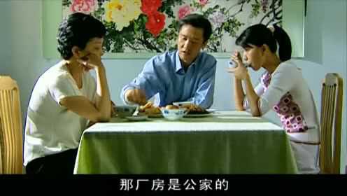 光辉岁月 17集