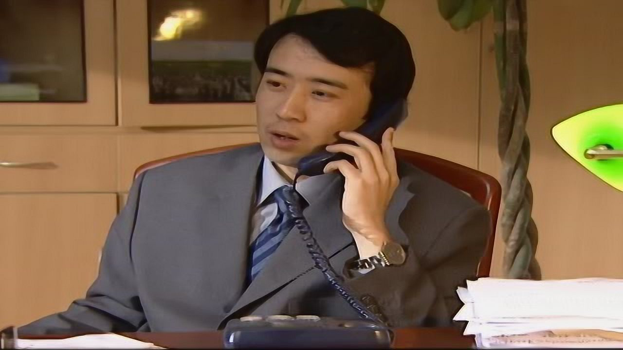 省委书记 9集