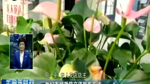 惠安 玻璃小屋里的无人花店 卖的不止是花 还有一份信任