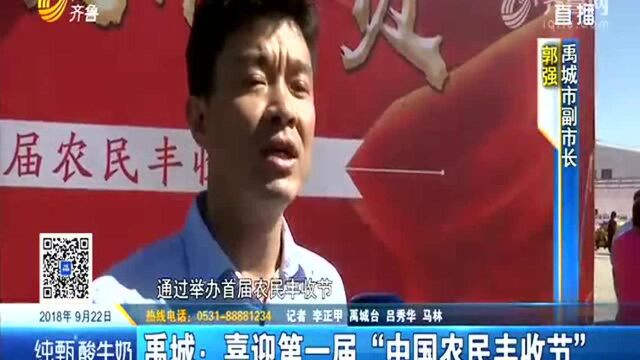 禹城:喜迎第一届“中国农民丰收节”