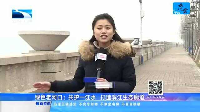 绿色老河口:共护一江水 打造滨江生态廊道