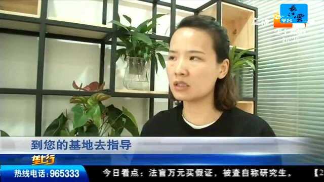 垄上论坛 虾稻共作稻渔种养 新技术等您来学