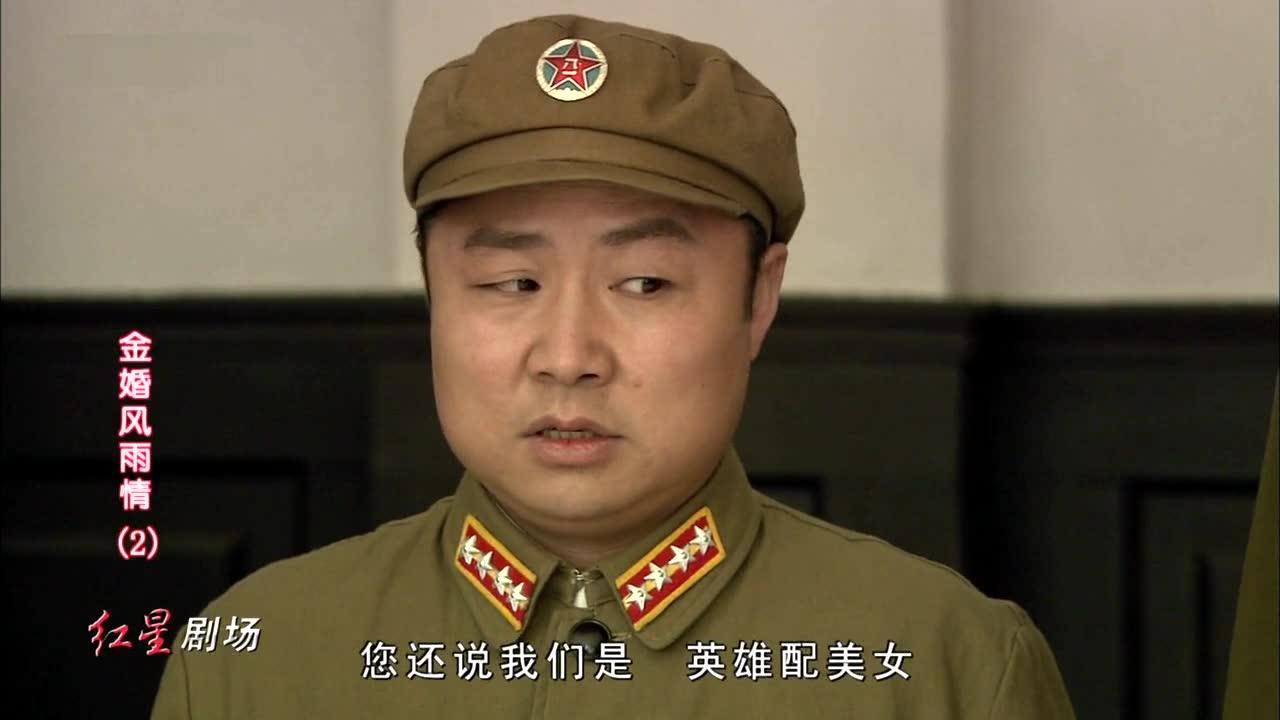 金婚风雨情 2集