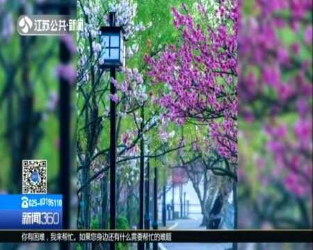 无锡蠡园:桃红柳绿 波光潋滟