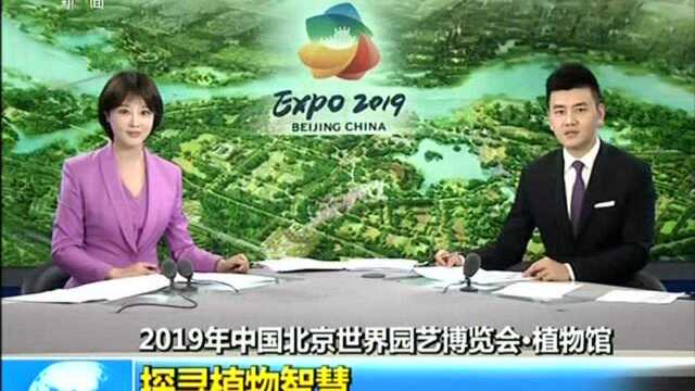 2019年中国北京世界园艺博览会ⷦ䍧‰驦† 枯木雕塑:植物与人类休戚与共