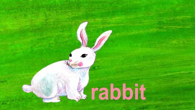 Rabbit & Rainbow  Lower Case Alphabet \