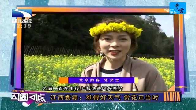 江西婺源:难得好天气 赏花正当时