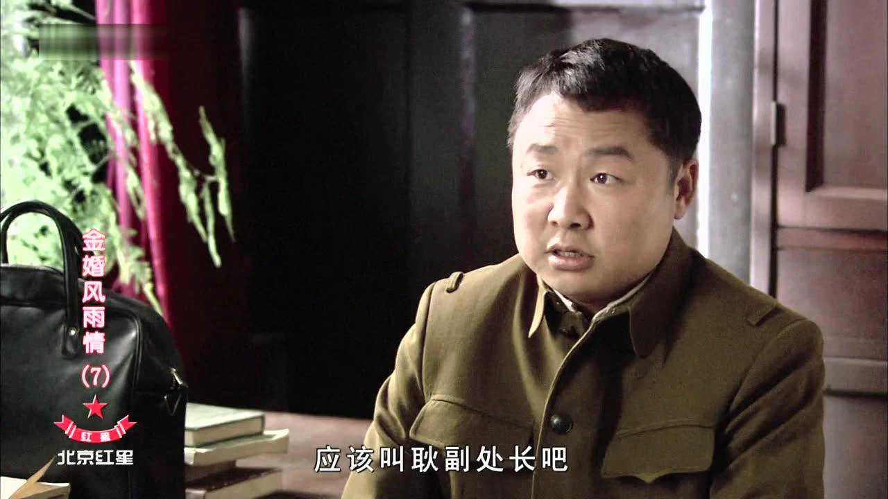 金婚风雨情 7集