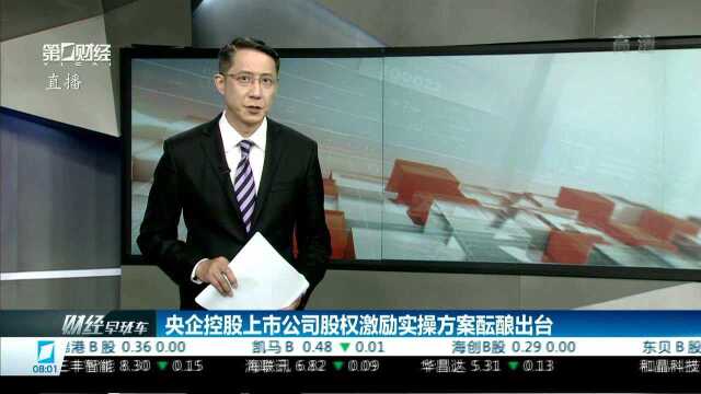 央企控股上市公司股权激励实操方案酝酿出台