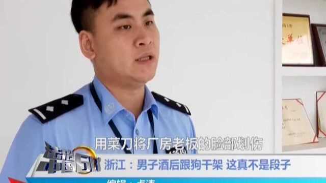 浙江:男子酒后跟狗干架 这真不是段子