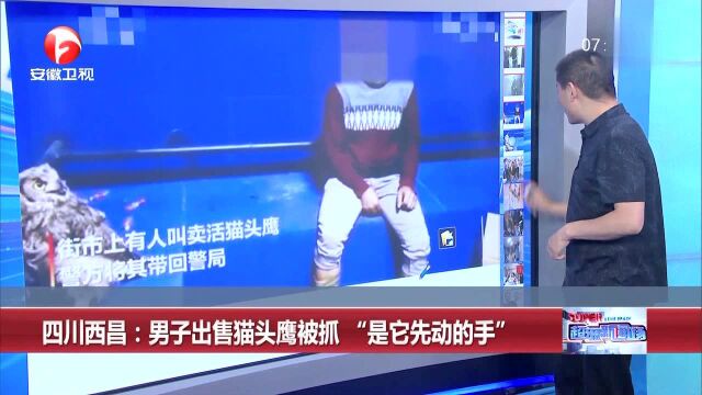 四川西昌:男子出售猫头鹰被抓 “是它先动的手”