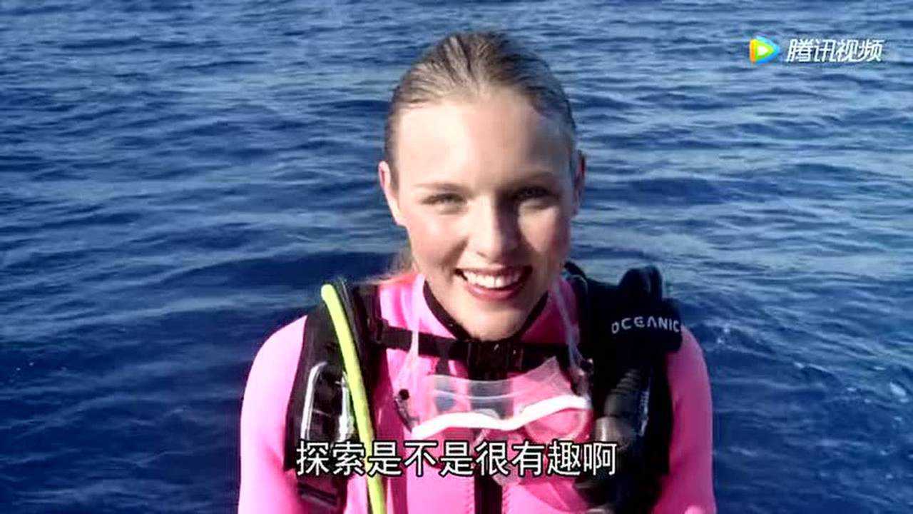 芝麻街国际版第46季[磨耳朵英文版] 2集