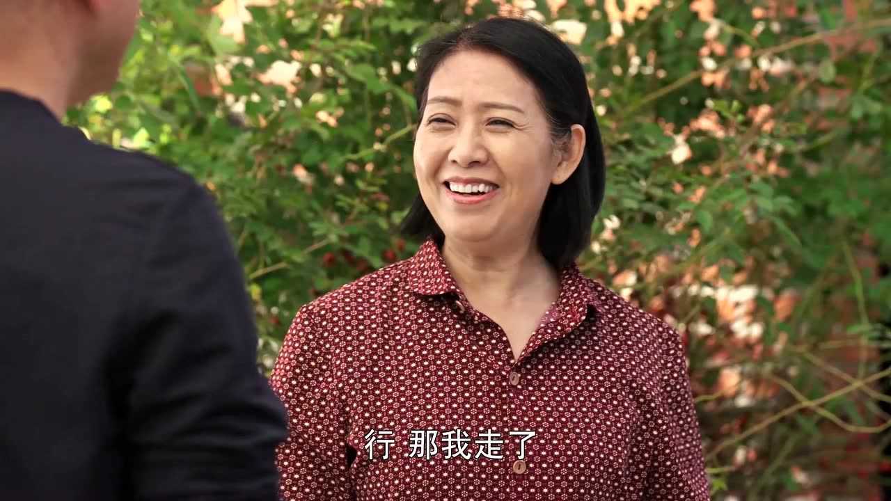 乡村爱情10（上） 23集