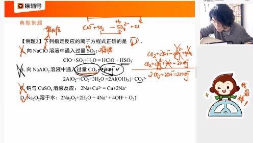 高一3.3化学《专题复习：离子方程式正误辨析》