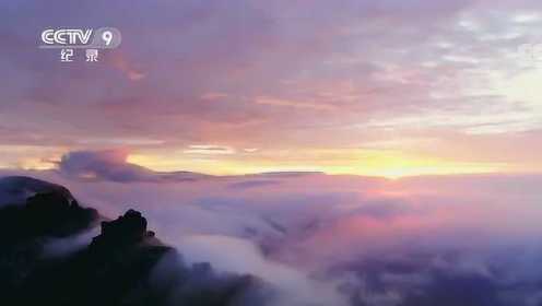 高耸入云清幽孤傲，说它是“贵州第一山”不为过：梵净山总是美的太惊艳