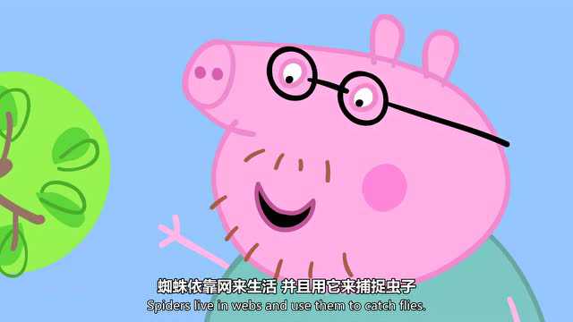 小猪佩奇第5季（英文版） 22集