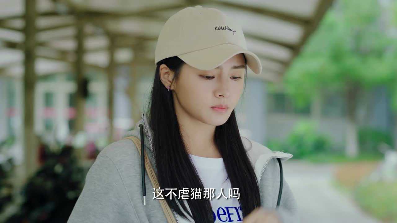 甜了青梅配竹马 苏牧云拍纪录片,帮苏念风澄清虐猫