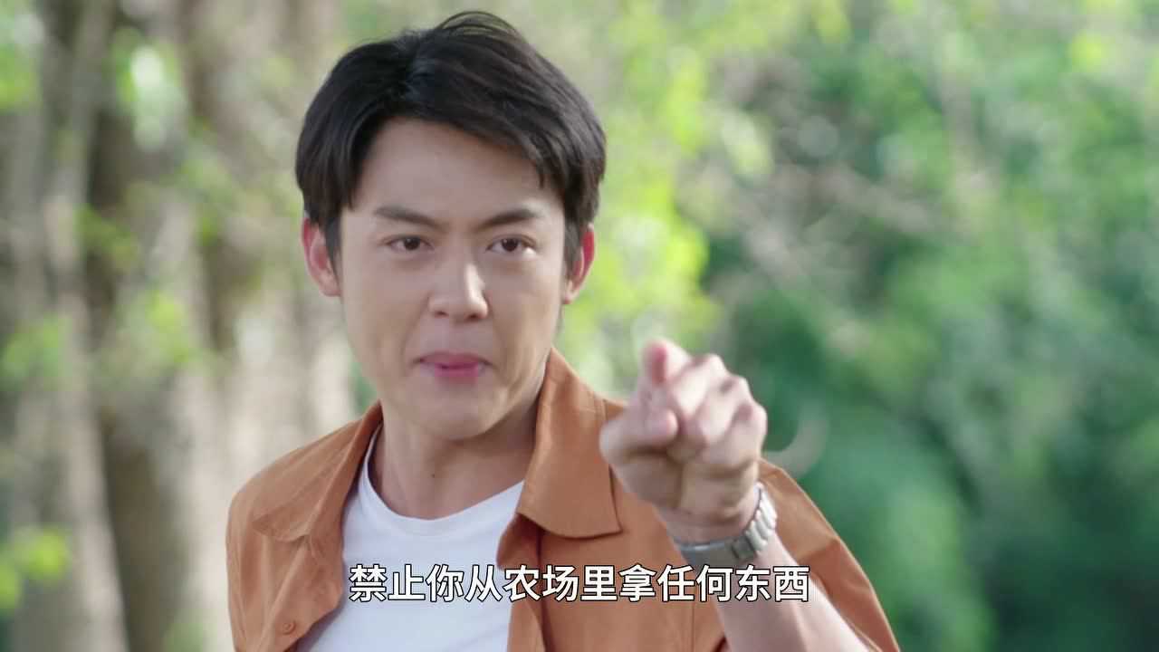 直到天空迎来太阳[普通话版] 15集