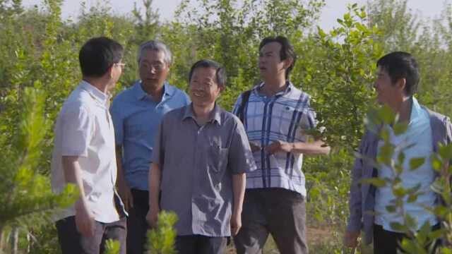 《沙漠情深之五月花开》第11集01:专家组来袭,瀚阳高兴不已