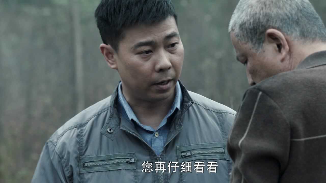 扫黑风暴 5集