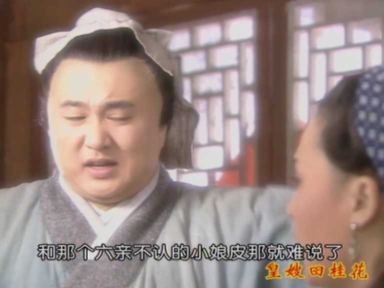 皇嫂田桂花2 19集