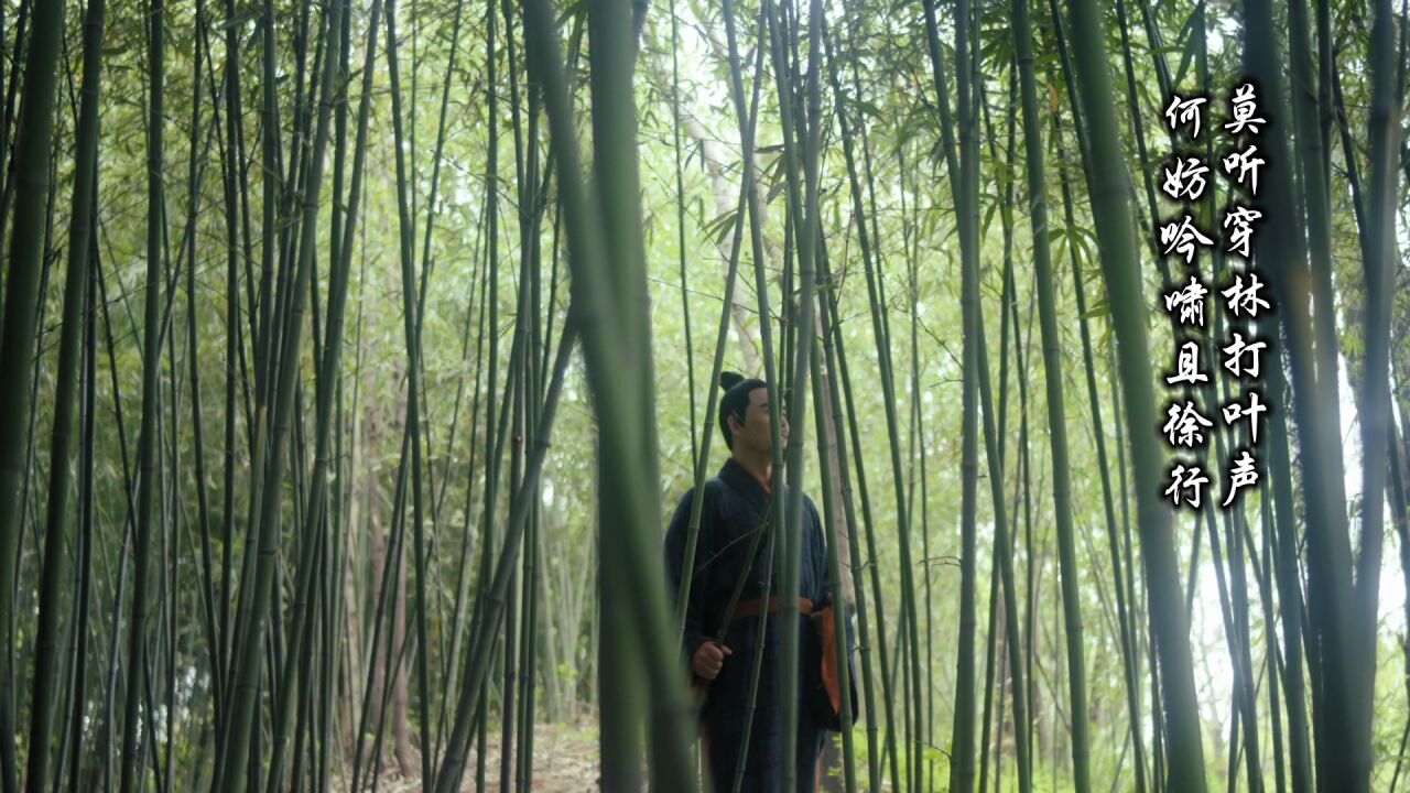 诗词朗读纯享_绝美诗词朗读纯享：苏轼《定风波·莫听穿林打叶声》_高清完整版视频在线观看_腾讯视频