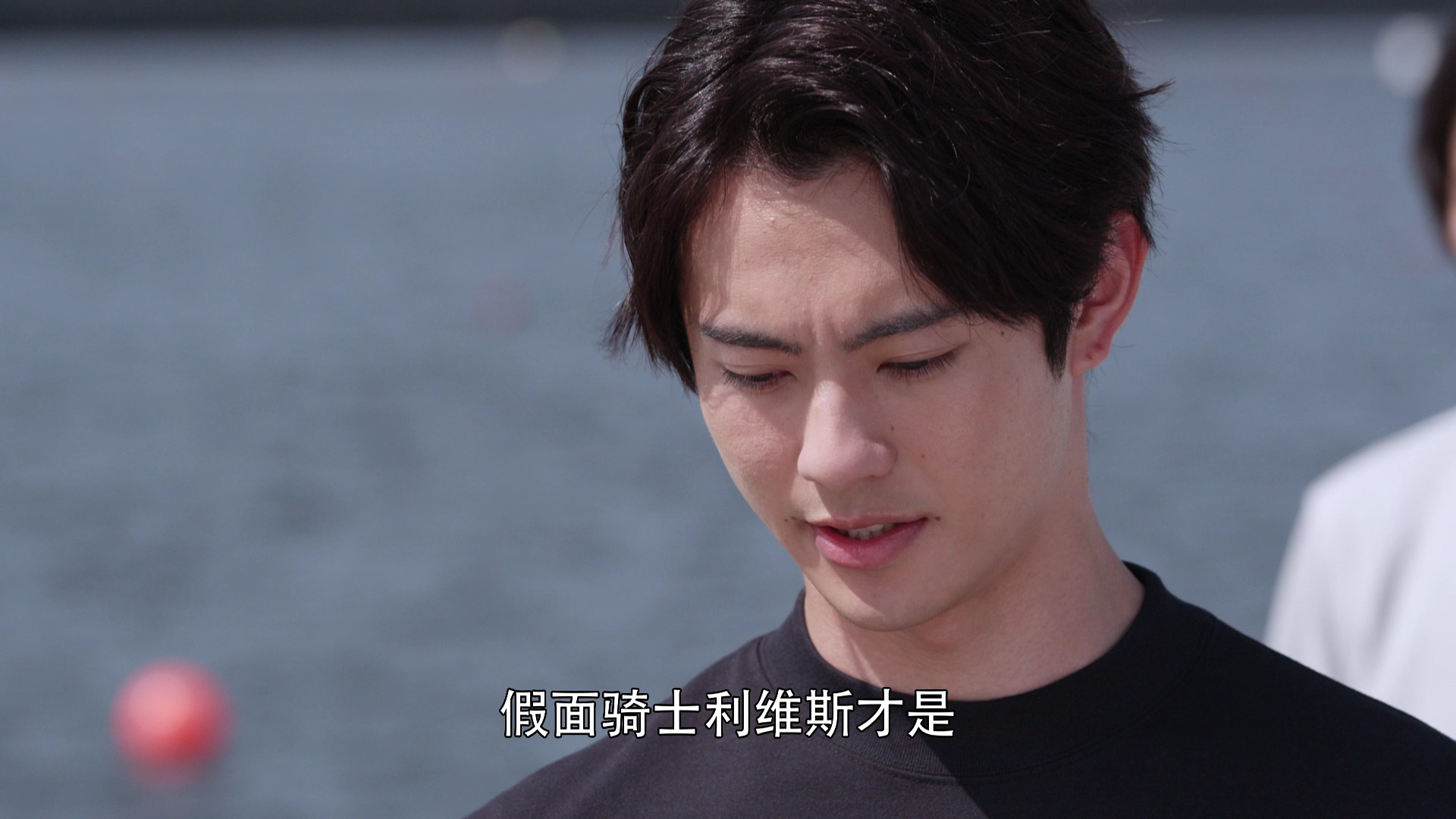 假面骑士利维斯 日语版 48集