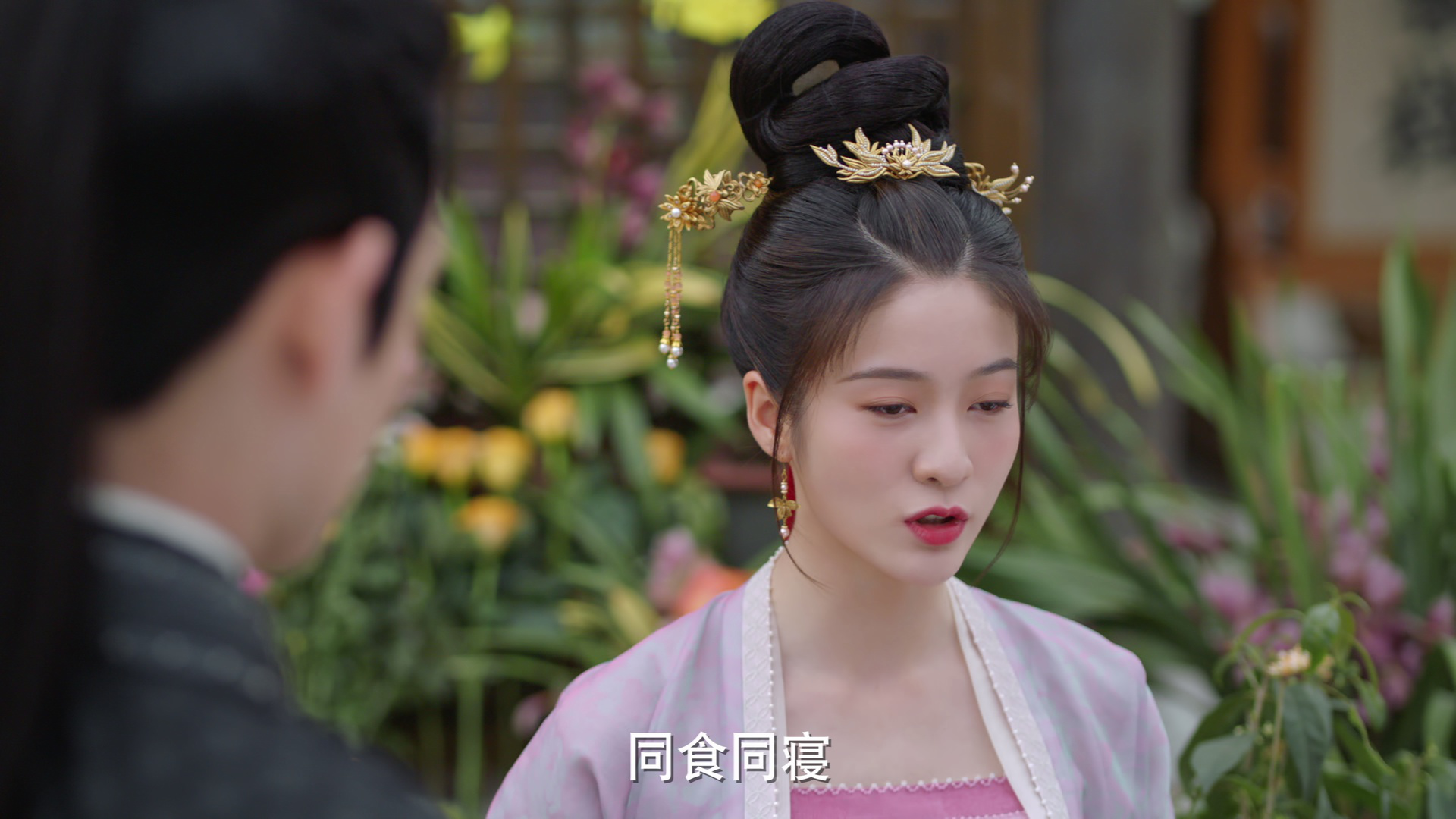 择君记 21集
