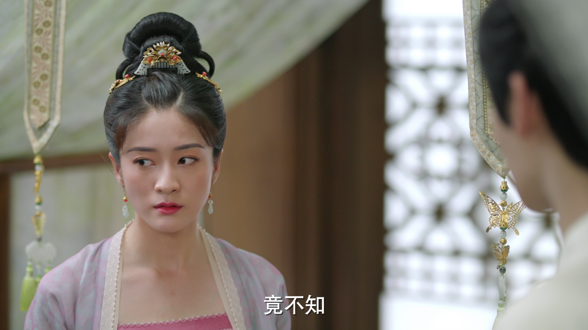 择君记 14集